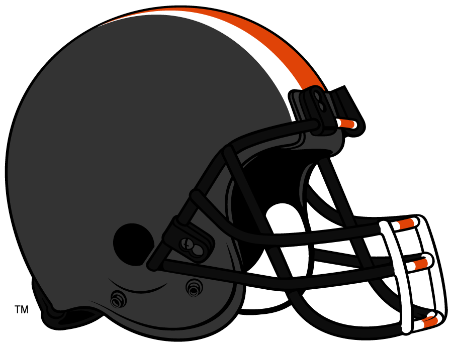 Oregon State Beavers 2013-2014 Helmet Logo diy iron on heat transfer